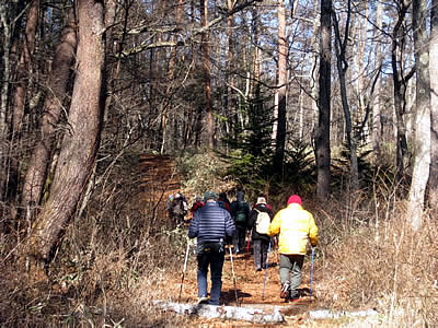 2月3日定例ウォーキング