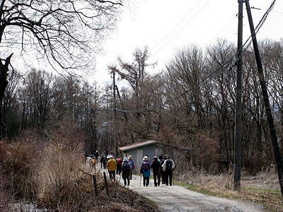 4月6日定例ウォーキング
