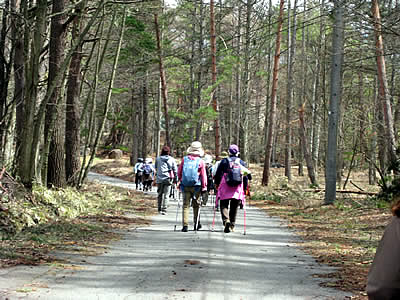 4月6日定例ウォーキング