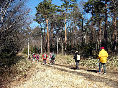 4月6日定例ウォーキング