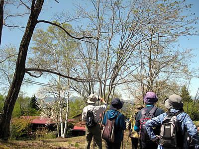 5月5日定例ウォーキング