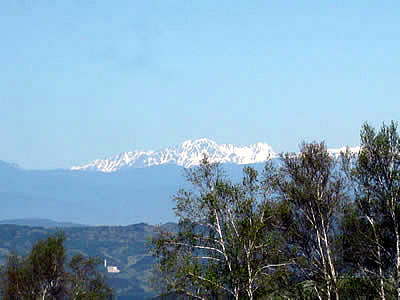 5月5日定例ウォーキング