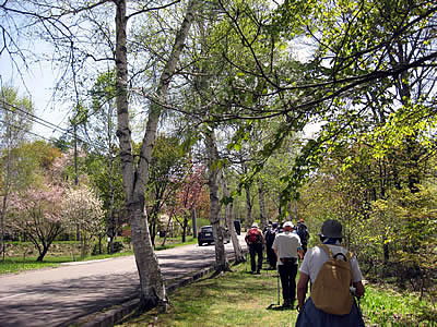 5月5日定例ウォーキング