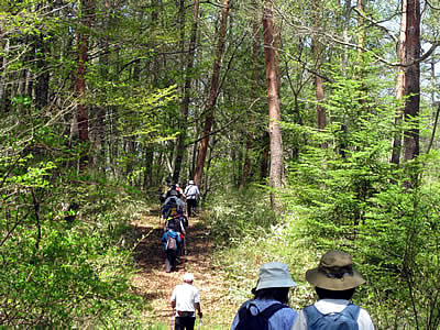 5月5日定例ウォーキング