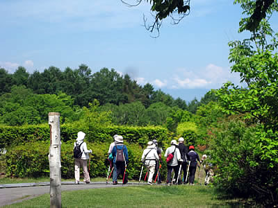 6月1日定例ウォーキング