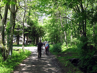 6月1日定例ウォーキング