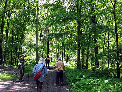 6月1日定例ウォーキング