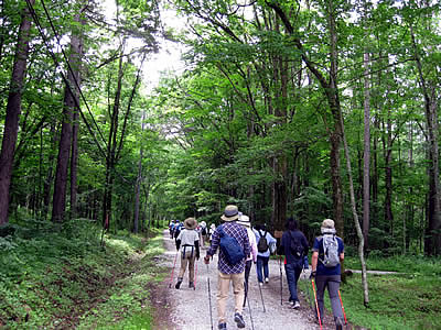 7月6日定例ウォーキング