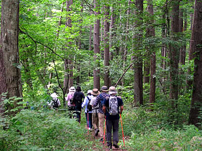 7月6日定例ウォーキング