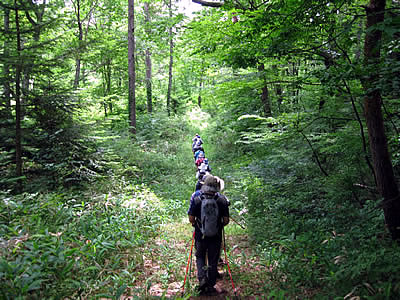7月6日定例ウォーキング