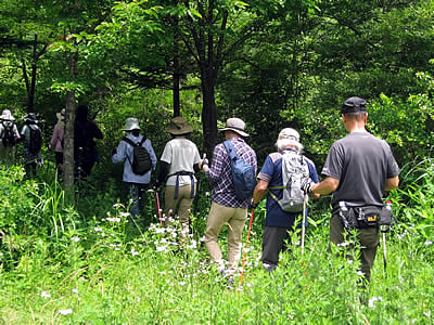 7月6日定例ウォーキング