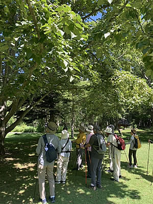 8月3日定例ウォーキング