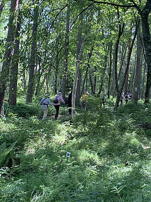 8月3日定例ウォーキング