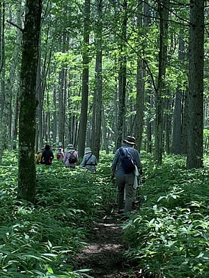 8月3日定例ウォーキング