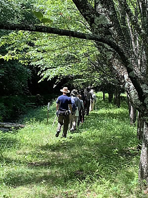 8月3日定例ウォーキング
