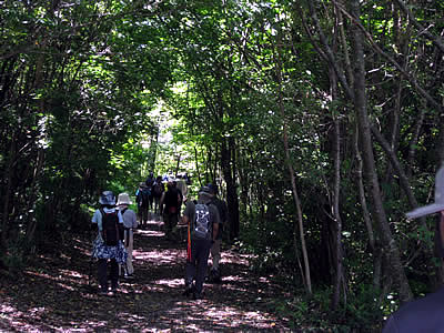 9月7日定例ウォーキング