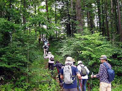 9月7日定例ウォーキング