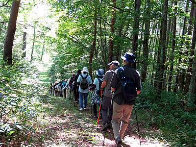 9月7日定例ウォーキング