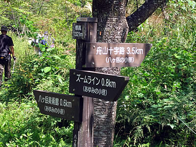 9月7日定例ウォーキング