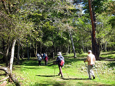 10月12日定例ウォーキング