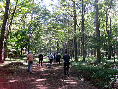 10月12日定例ウォーキング