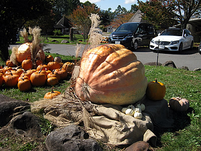 10月12日定例ウォーキング
