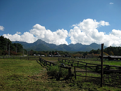 10月12日定例ウォーキング