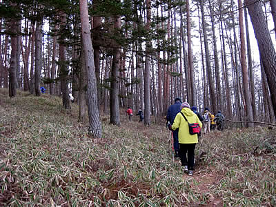 12月7日定例ウォーキング