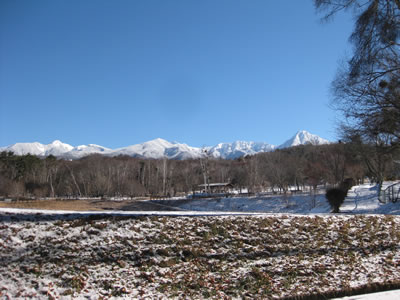 1月11日定例ウォーキング