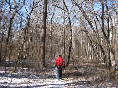 1月11日定例ウォーキング