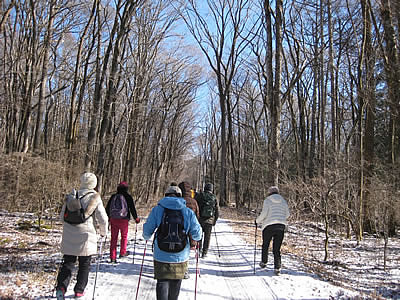 1月11日定例ウォーキング