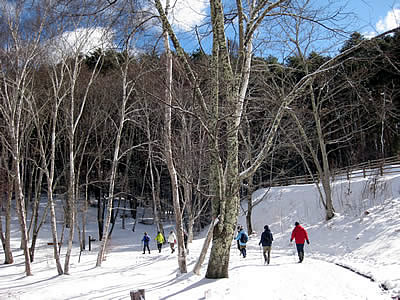 2月8日定例ウォーキング