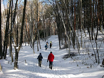 2月8日定例ウォーキング