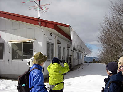 2月8日定例ウォーキング