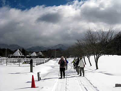 2月8日定例ウォーキング