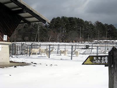 2月8日定例ウォーキング