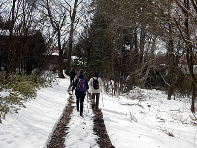 3月8日定例ウォーキング