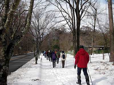 3月8日定例ウォーキング