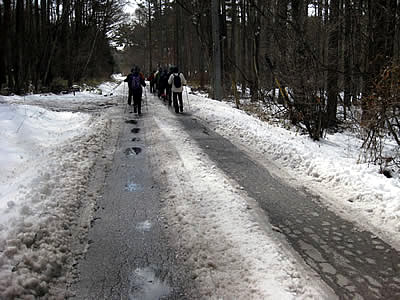 3月8日定例ウォーキング