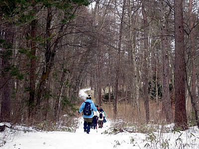 3月8日定例ウォーキング