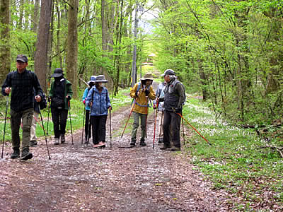 5月10日定例ウォーキング