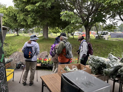 6月14日定例ウォーキング