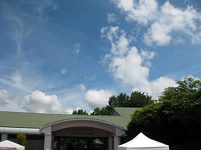 7月12日定例ウォーキング