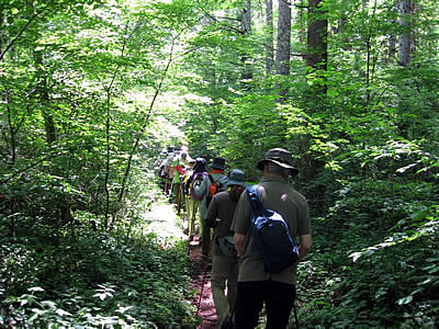 7月12日定例ウォーキング