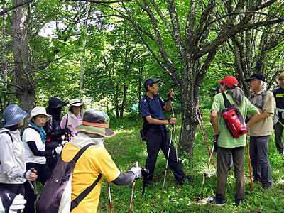 7月12日定例ウォーキング