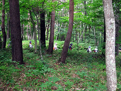 7月12日定例ウォーキング