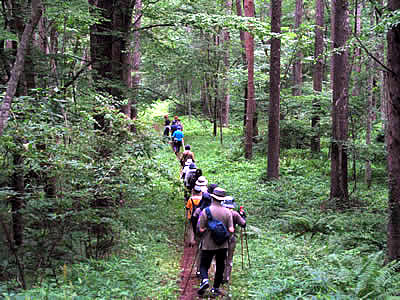 7月12日定例ウォーキング