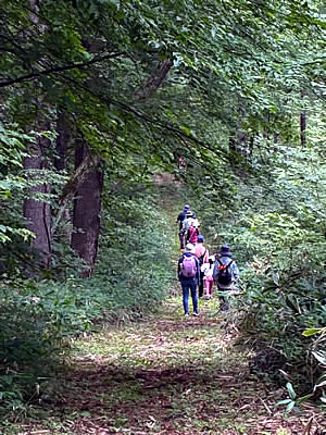 8月9日定例ウォーキング