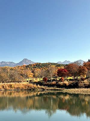 11月8日定例ウォーキング