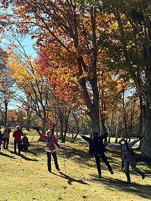 11月8日定例ウォーキング